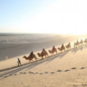 【皇牌絲綢之路◎直航烏魯木齊】 烏魯木齊(天山天池)、吐魯番(火焰山、交河故城)、敦煌(莫高窟、鳴沙山月牙泉)、嘉峪關、張掖(丹霞地質公園)8天升級純玩團