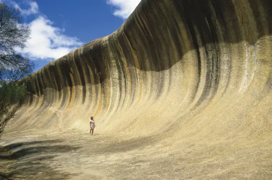 波浪岩之旅(自費參加)