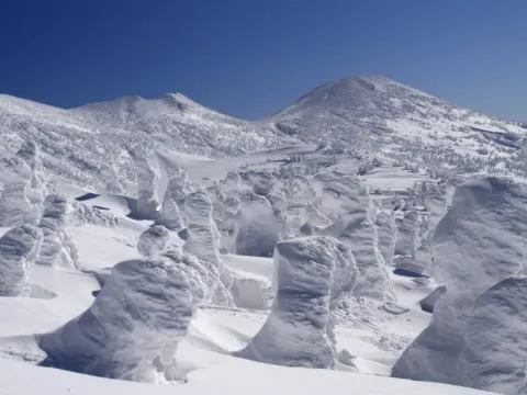 八甲田山樹冰