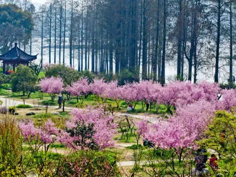 東湖梅園