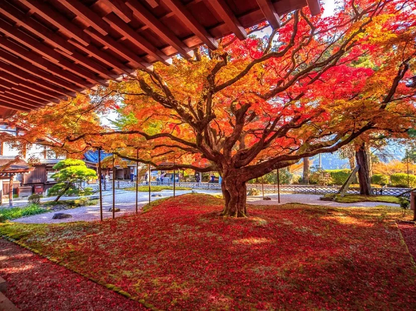 雷山千如寺
