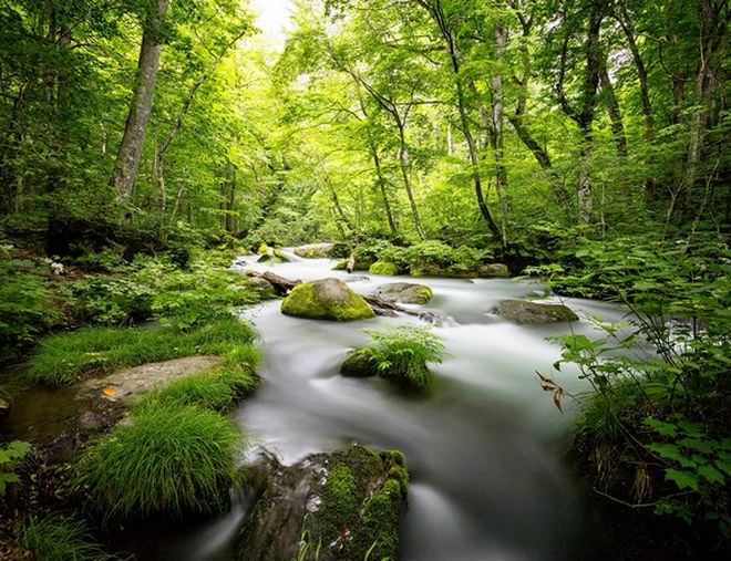 日本_青森_十和田_奧入瀨溪流_夏天