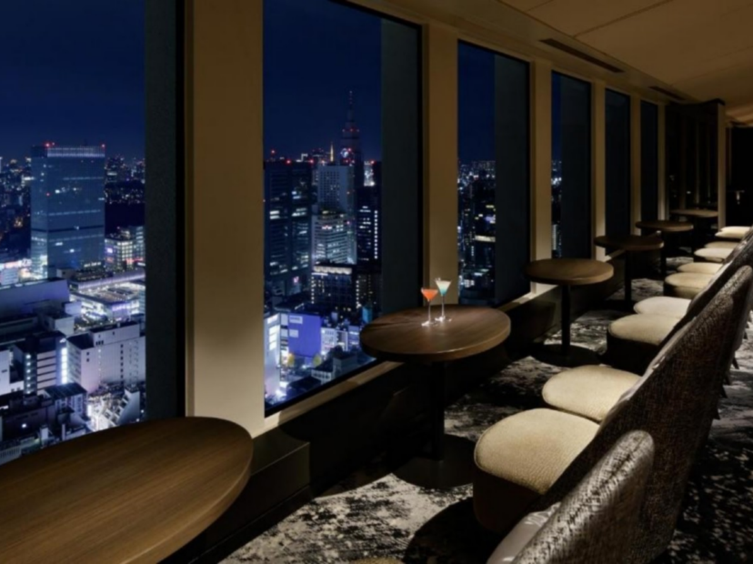 東京新宿Keio Plaza酒店 