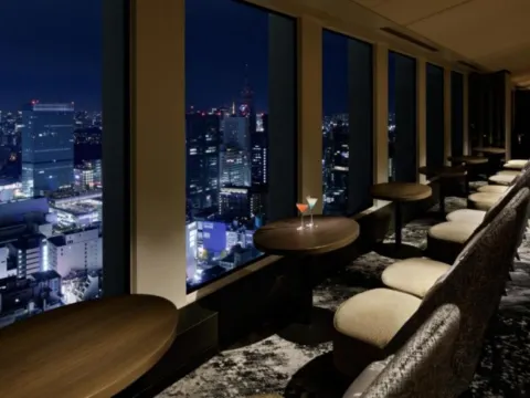 東京新宿Keio Plaza酒店 