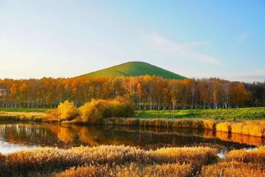 莫埃來沼公園_落葉松