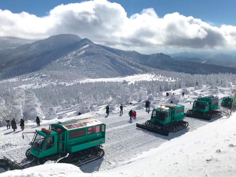 Wild Monster雪怪車