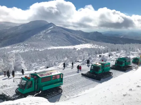 Wild Monster雪怪車