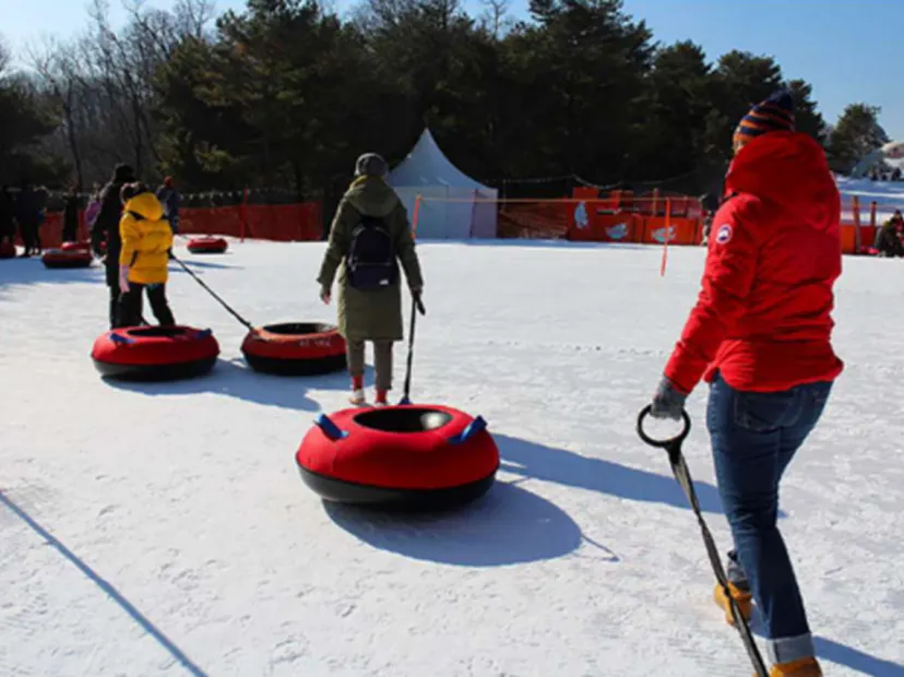 Vivaldi Park冰雪樂園 Snowy Land