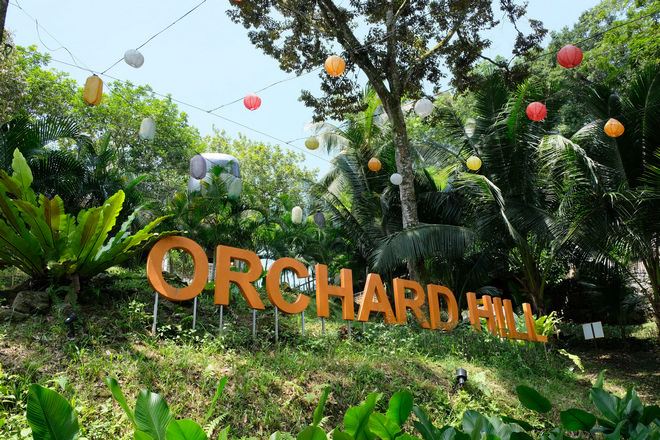 Orchard Hill