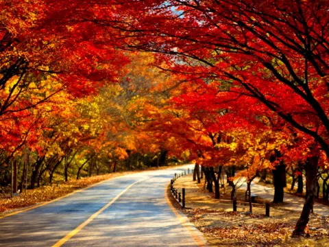 內藏山國立公園