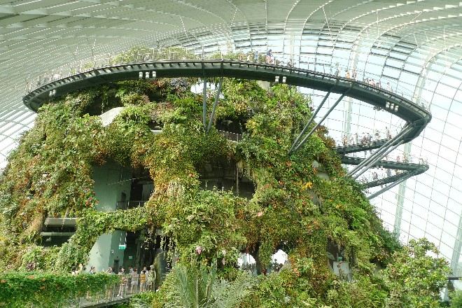 GardensByTheBay濱海灣花園_Cloud Forest and Cloud Walk