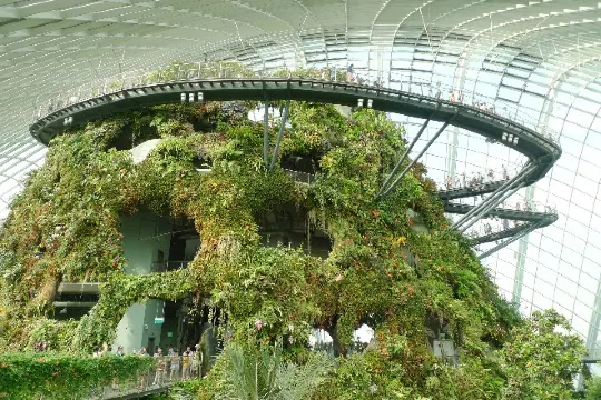 GardensByTheBay濱海灣花園_Cloud Forest and Cloud Walk