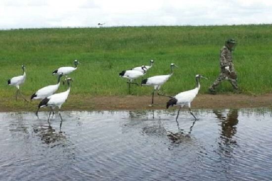 紮龍自然保護區