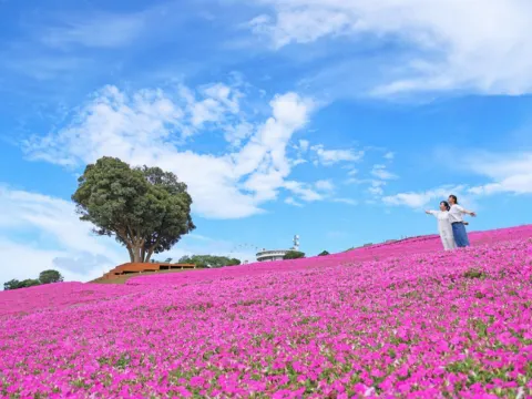 《親子人氣景點》Mother牧場