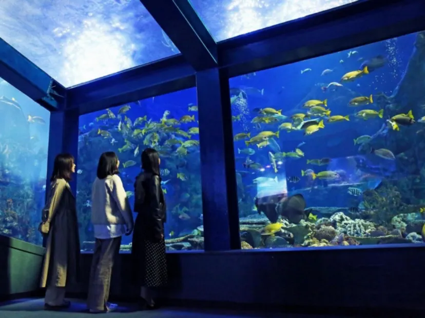 鳥羽水族館