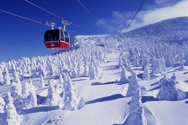 藏王空中吊車+樹冰
