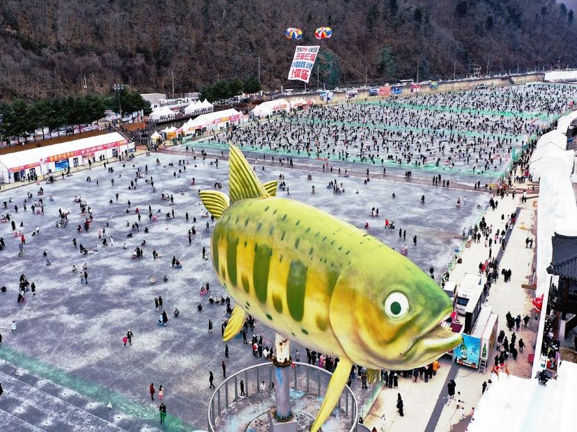 華川山鱒魚慶典