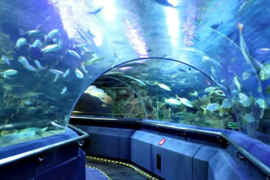 Aquaria KLCC海洋水族館