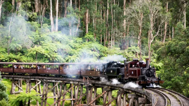 普芬古董蒸氣火車