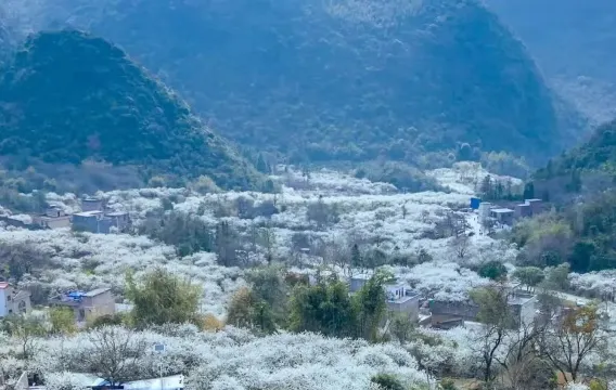 千亩梨花谷~水浪花谷