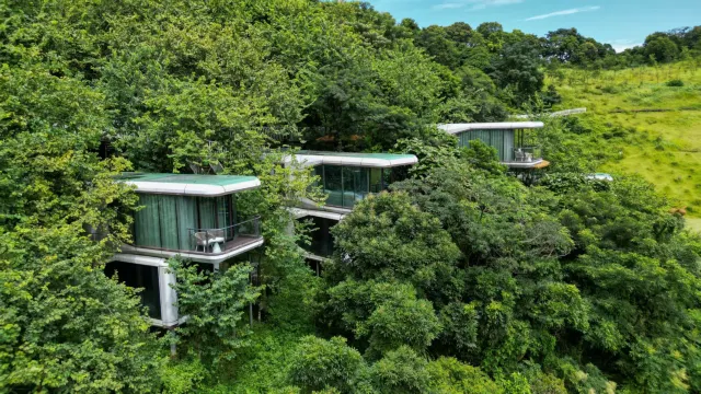 森林秘境雲頂懸居美墅酒店