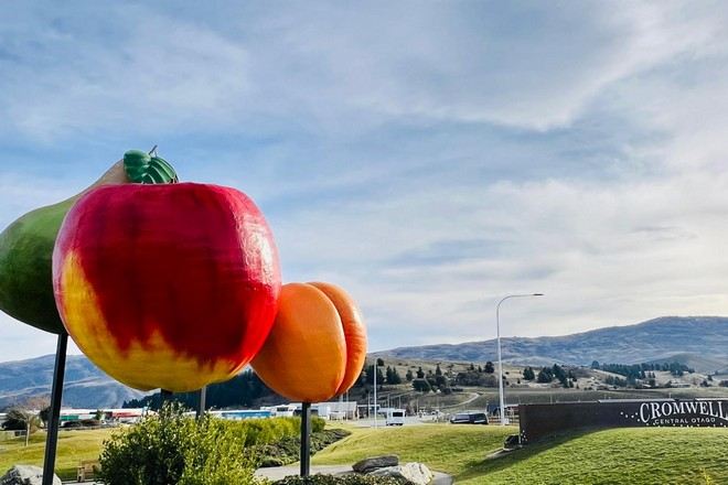 「水果小鎮」克倫威爾