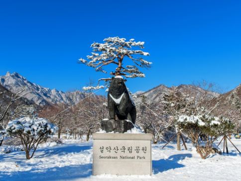 高城+束草+首爾6天冬日賞景之旅 ※【雙重蟹宴】任食東海名物紅蟹+【藍絲帶認證食府】DeoDeo醬油蟹放題  ※尺山天然溫泉、DMZ統一瞭望塔、華蓋山單軌車+天空步道展望台、大龍市場、坡州山葡萄農園