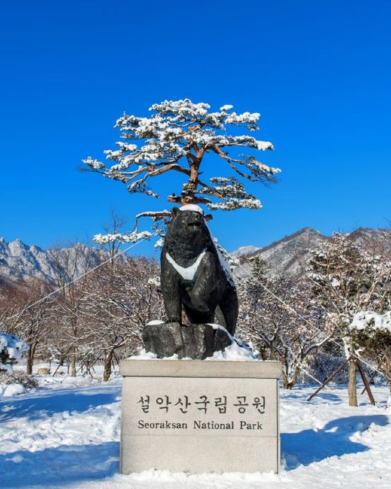 高城+束草+首爾6天冬日賞景之旅 ※【雙重蟹宴】任食紅蟹+【藍絲帶認證食府】DeoDeo醬油蟹放題  ※尺山天然溫泉、DMZ統一瞭望塔、華蓋山單軌車+天空步道展望台、大龍市場、坡州山葡萄農園