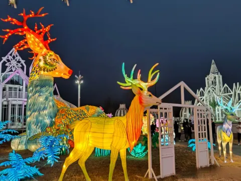 玉黛湖花燈藝術節