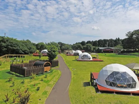 Mother Farm Green Base