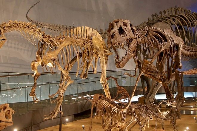 福井恐龍博物館