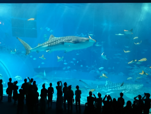 沖繩南北部 觀光玩樂5天之旅 「全球最大水族館之一」沖繩美麗海水族館、萬座毛海岸、崖上之神社~波之上神宮、沖繩世界文化王國(玉泉洞、琉球王國城下町、元氣太鼓表演)【全程無須搬酒店,舒適享受】 沖繩南北部 觀光玩樂5天之旅 「全球最大水族館之一」沖繩美麗海水族館、萬座毛海岸、崖上之神社~波之上神宮、沖繩世界文化王國(玉泉洞、琉球王國城下町、元氣太鼓表演)【全程無須搬酒店,舒適享受】