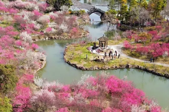 二分明月憶揚州~瘦西湖