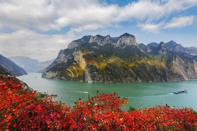 三峽紅葉