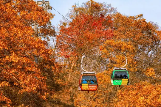 發旺山觀光纜車+Monapark Skywalk