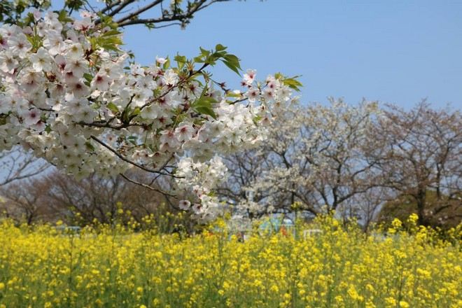 海之中道海濱公園