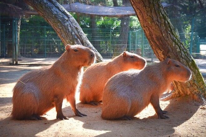 海之中道海濱公園