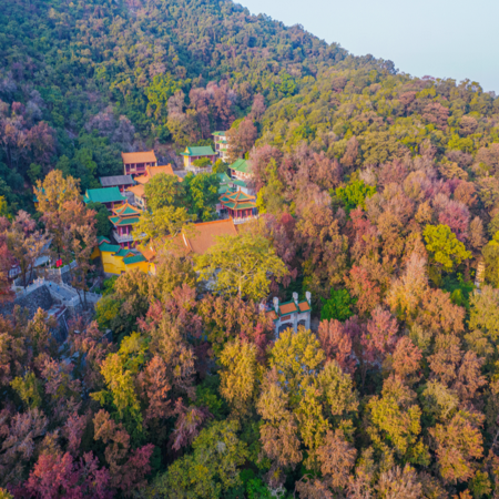《秋日限定美景》一年一度「圭峰山國家森林公園」(觀賞漫山楓葉紅)入住順德樂從智選假日酒店 【五洞牛肉村（任食現切嫩牛肉+任食現切香口肥牛】【白玉藏珍豬肚包魚翅+過橋東升斑(位上)】佛山江門純玩3天團