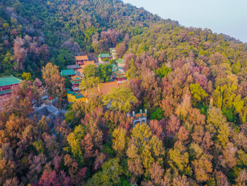 《秋日限定美景》一年一度「圭峰山國家森林公園」(觀賞漫山楓葉紅)入住順德樂從智選假日酒店 【五洞牛肉村（任食現切嫩牛肉+任食現切香口肥牛】【白玉藏珍豬肚包魚翅+過橋東升斑(位上)】佛山江門純玩3天團