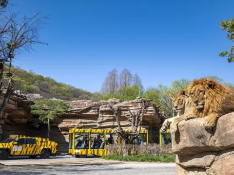 愛寶樂園Everland