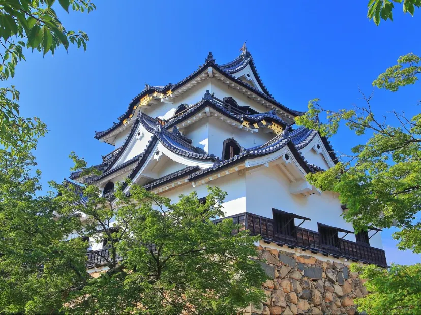 彥根城
