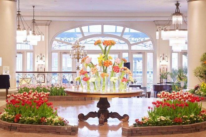 豪斯登堡EUROPE酒店