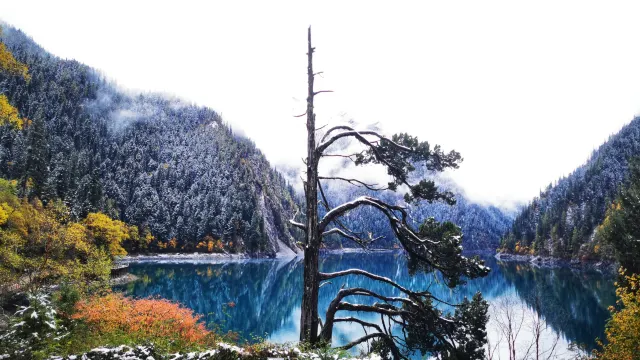 九寨溝長海冬季