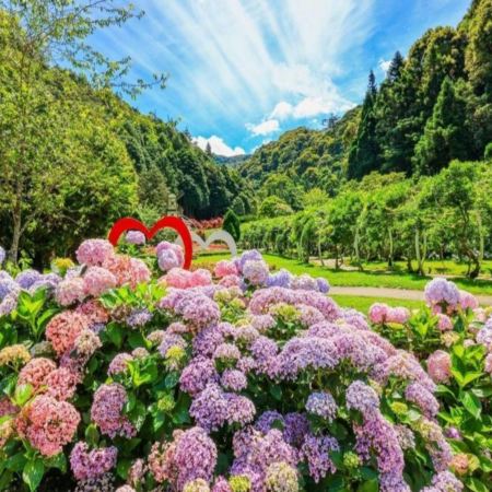 台北+杉林溪+台中 5天賞花之旅 南投(杉林溪森林生態園區)、台中(中社觀光花海)、台北(RAIL BIKE深澳鐵道自行車體) *勁減-$230 推廣碼【WE841】