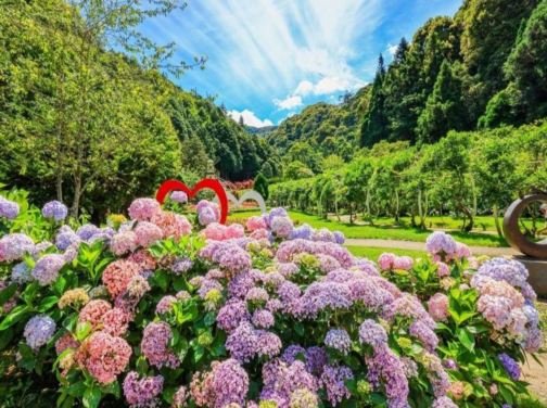 台北+杉林溪+台中 5天賞花之旅 南投(杉林溪森林生態園區)、台中(中社觀光花海)、台北(RAIL BIKE深澳鐵道自行車體) *勁減-$230 推廣碼【WE841】 台北+杉林溪+台中 5天賞花之旅 南投(杉林溪森林生態園區)、台中(中社觀光花海)、台北(RAIL BIKE深澳鐵道自行車體) *勁減-$230 推廣碼【WE841】