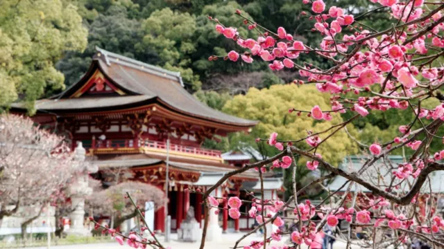 太宰府~天滿宮 梅花