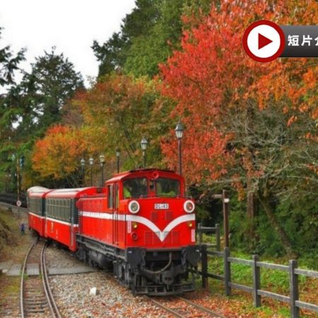  高雄+阿里山+台北精選 5天團#周年指定日期提升八里福朋喜來登溫泉酒店 旗津半島(包渡輪體驗)~ 嘉義-阿里山風景區(小火車暢遊) 