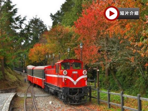  高雄+阿里山+台北精選 5天團#周年指定日期提升八里福朋喜來登溫泉酒店 旗津半島(包渡輪體驗)~ 嘉義-阿里山風景區(小火車暢遊) 