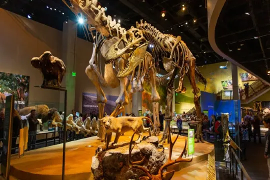 佩羅自然科學博物館