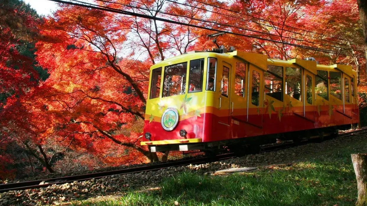 「賞紅葉名所」高尾山
(11月10日至12月12日出發適用)